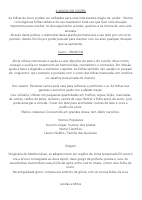 (2) A MAGIA DO LOURO.pdf